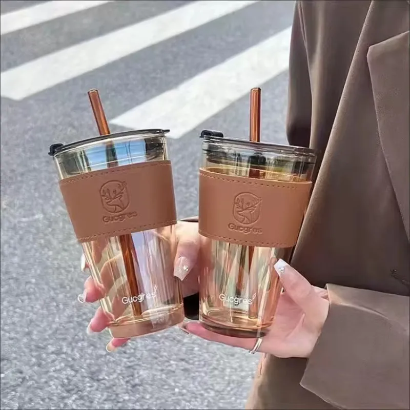 Tasse Verre Portable Marron 450ML
