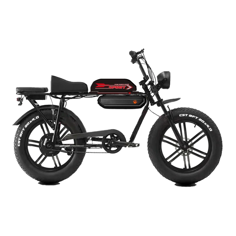 GoTyger - Vélo électrique deux-places 20 po pneu 4.0 avec roue OPC 48V 500W
