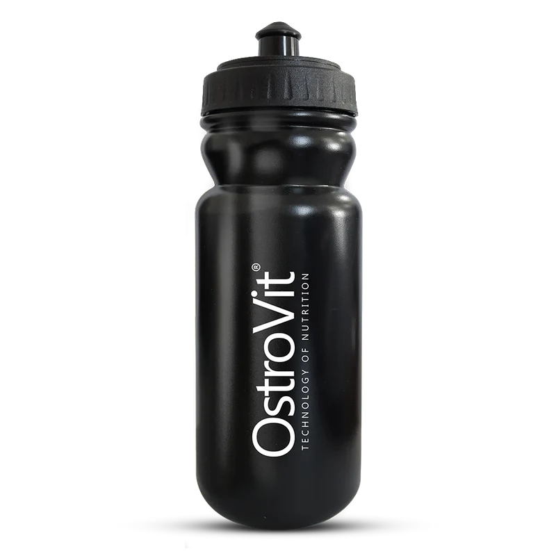 Gourde 600ml