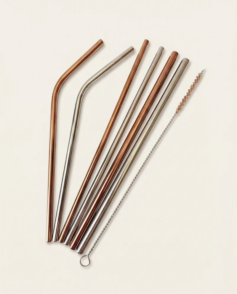 Paille en acier inoxydable