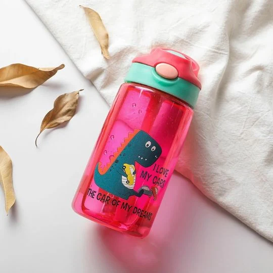 Gourde Enfant 480 ml - LittleDino