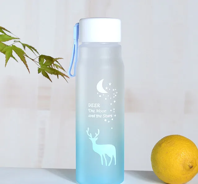 Gourde Plastique 600 Ml