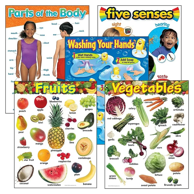 TREND enterprises, Inc. Healthy Living Learning Charts Combo Pack, 5 Pack
